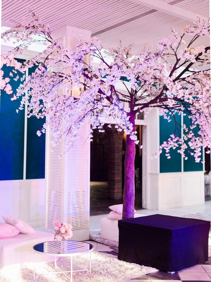 20190615 AM Sant Marcal Victor